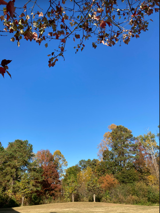 blue-sky-in-fall-in-USA